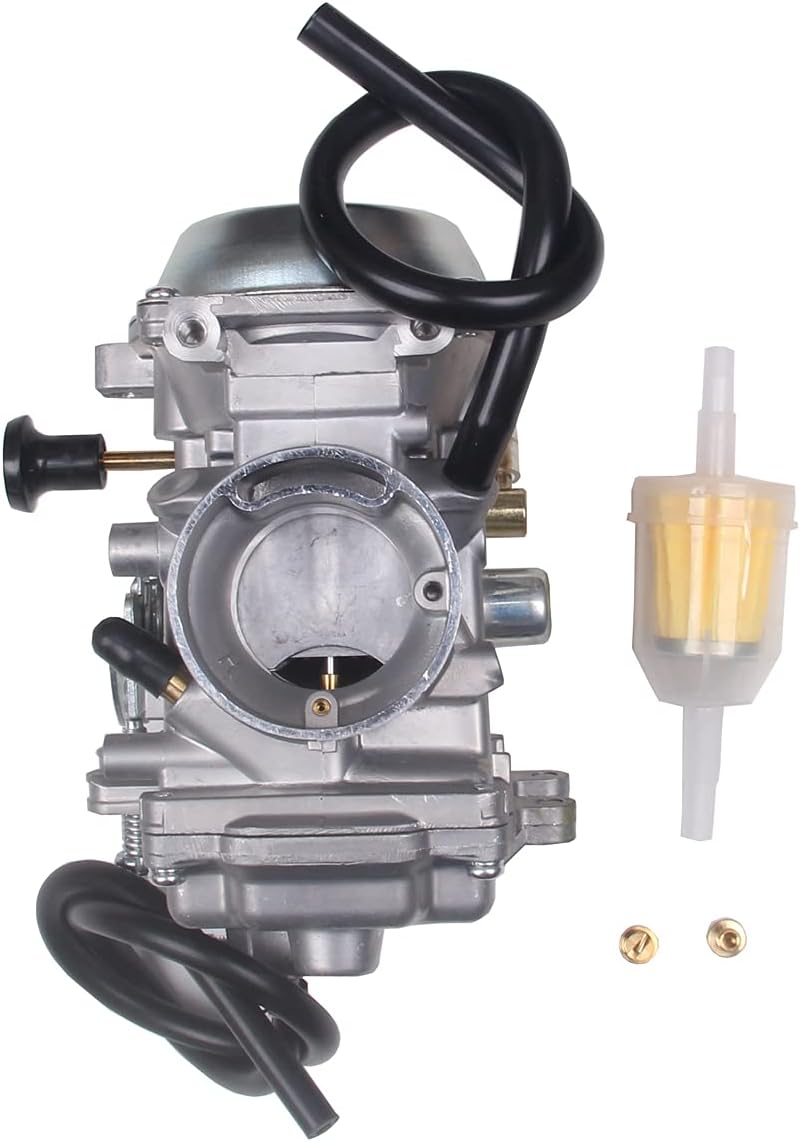 Carburetor Z555295