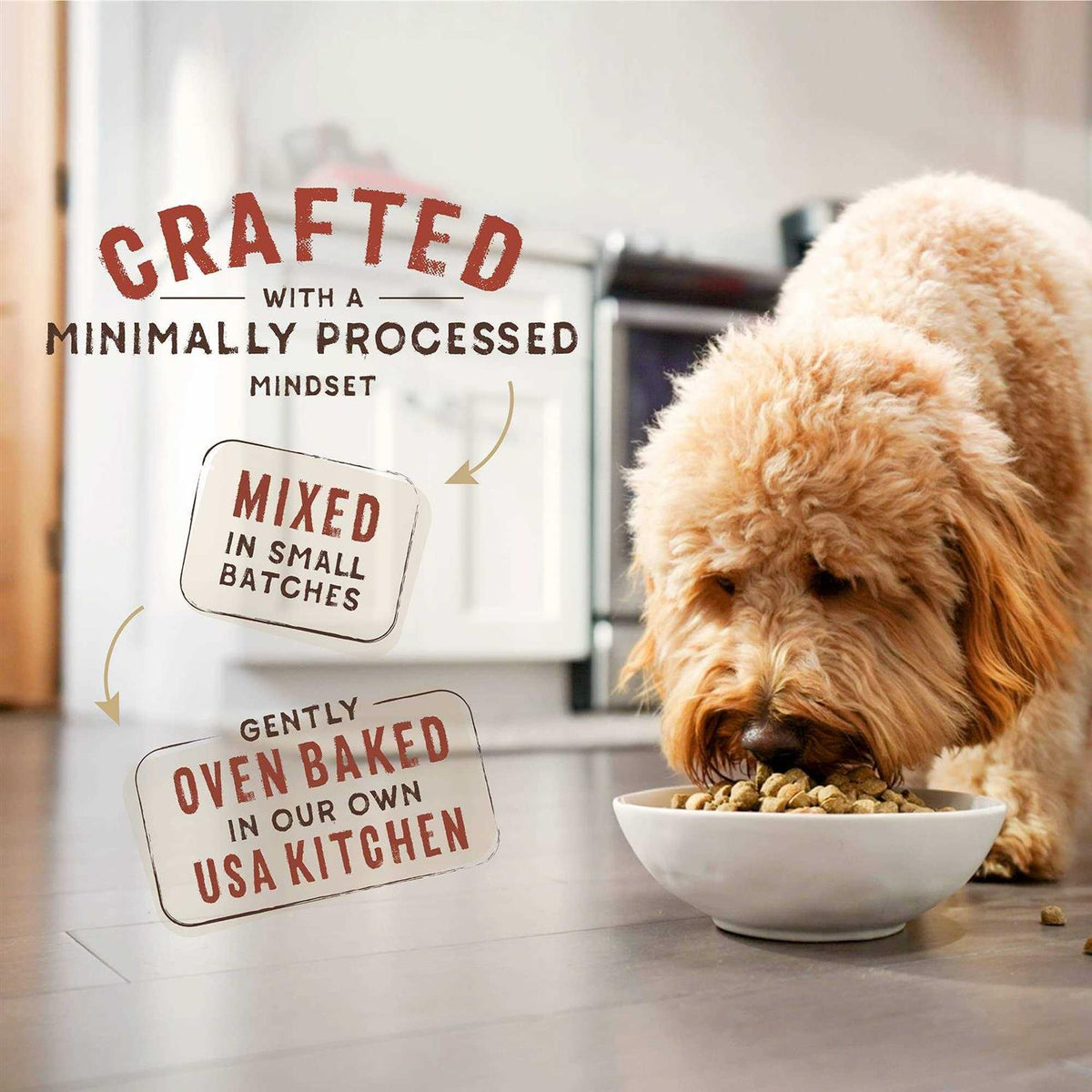 Grass-Fed Beef V484