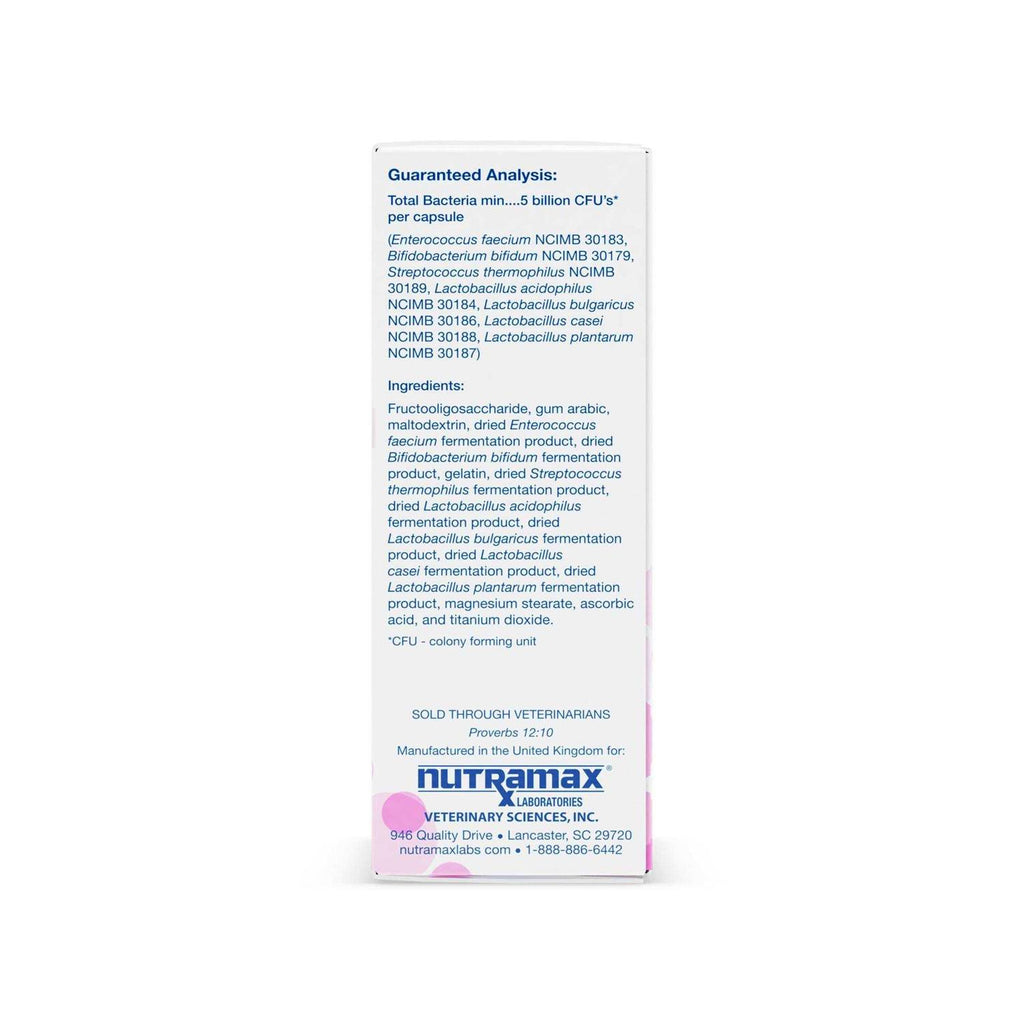 Multi-Strain Probiotics and Prebiotics for Cats and Dogs M8975