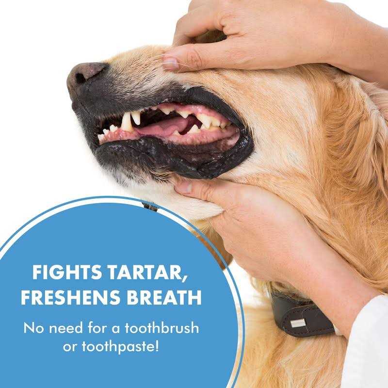 Pet Teeth & Gum Spray for Dogs & Cats M77405