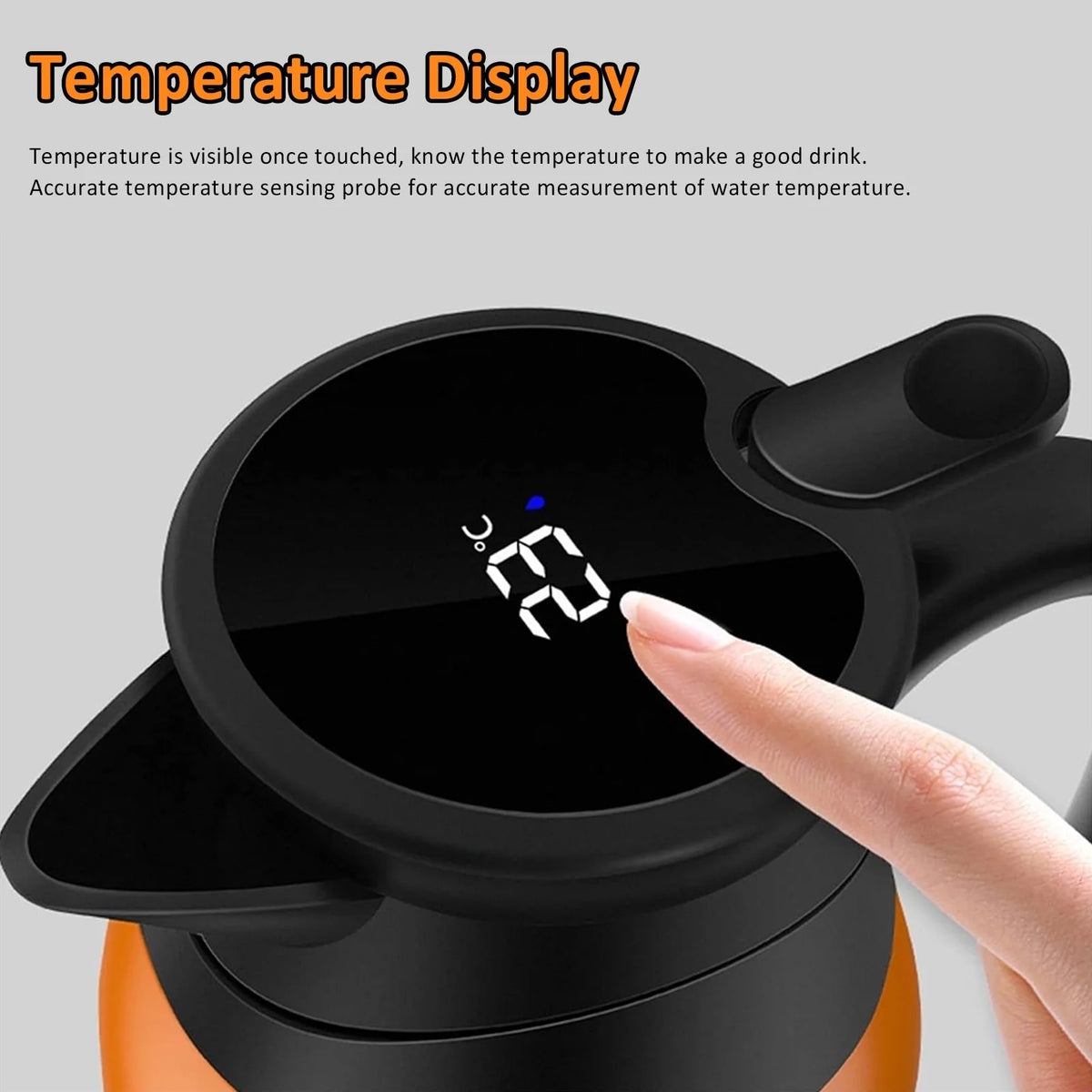 Stainless Steel Portable Electric Kettle P485