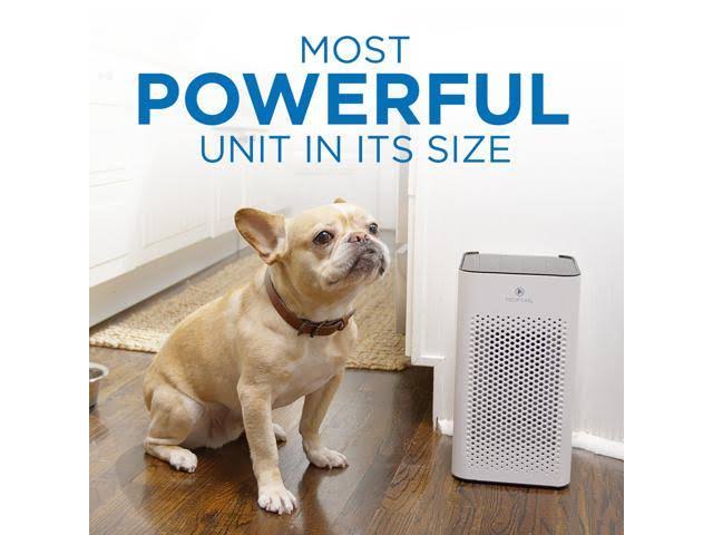 Black Table Top Air Purifier with HEPA Replacement Filters (1 Pair) L959