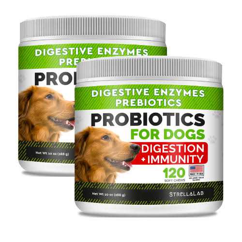 Probiotics for Dogs Y11986