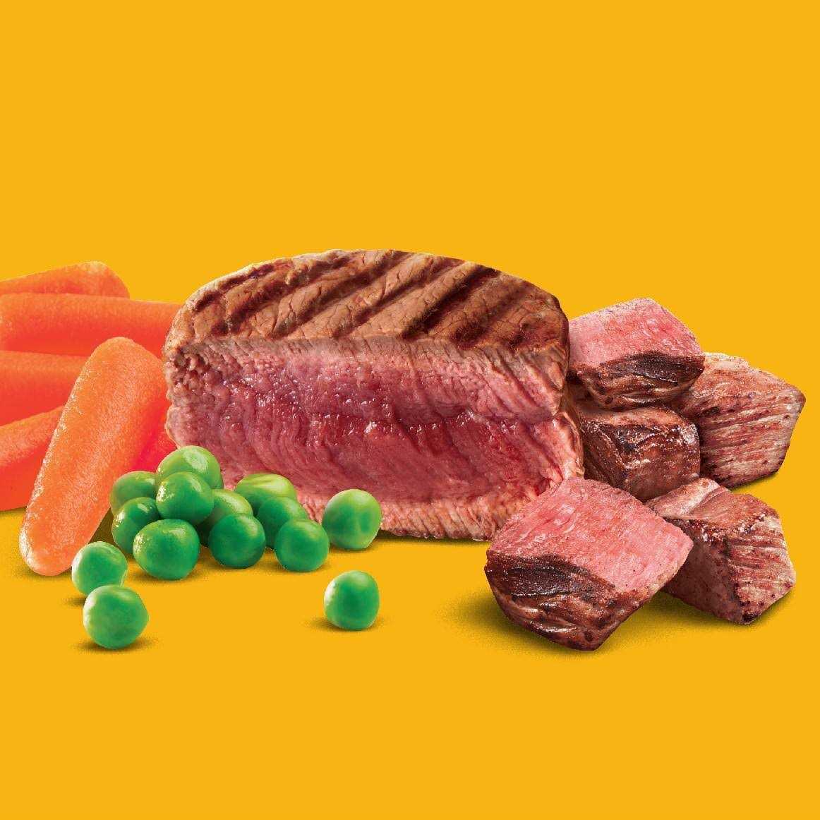 Steak & Vegetable Adult Dry Dog Food X6408