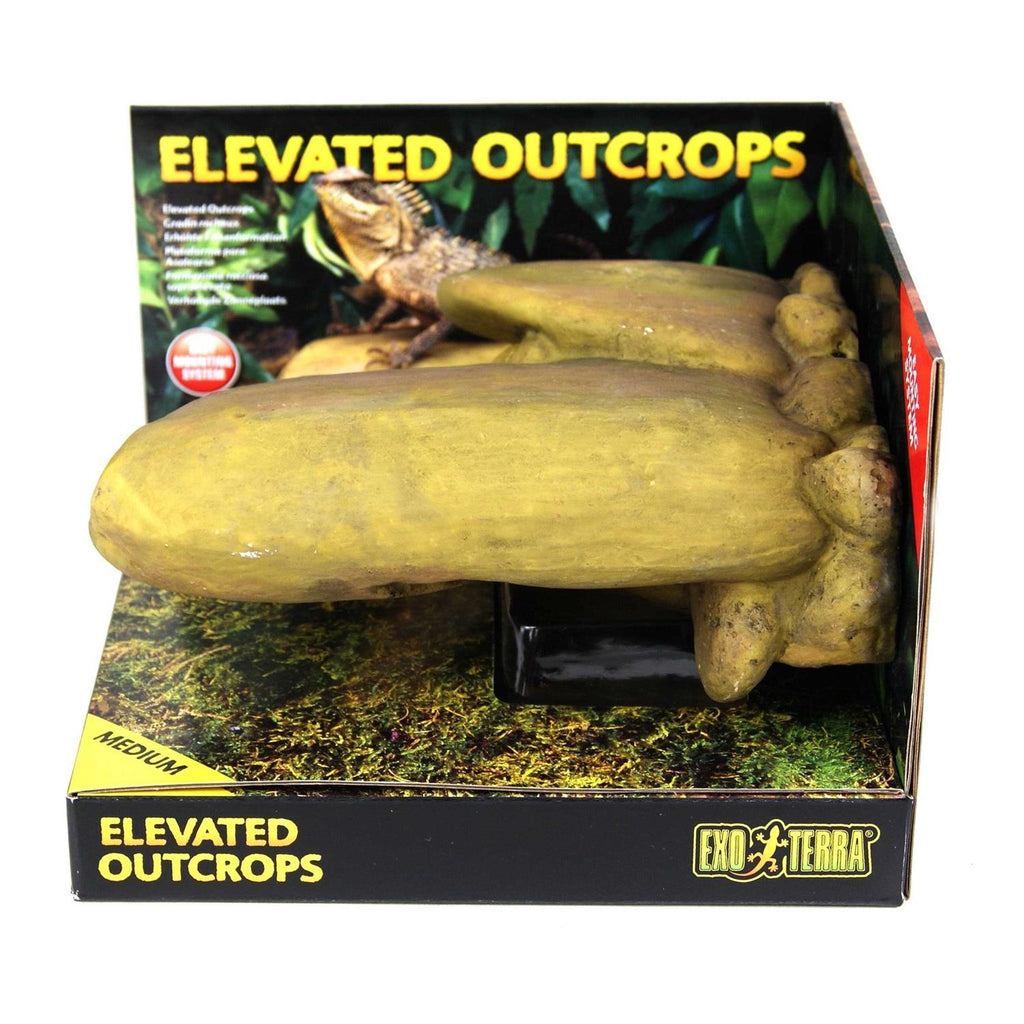 Elevated Outcrop R3897