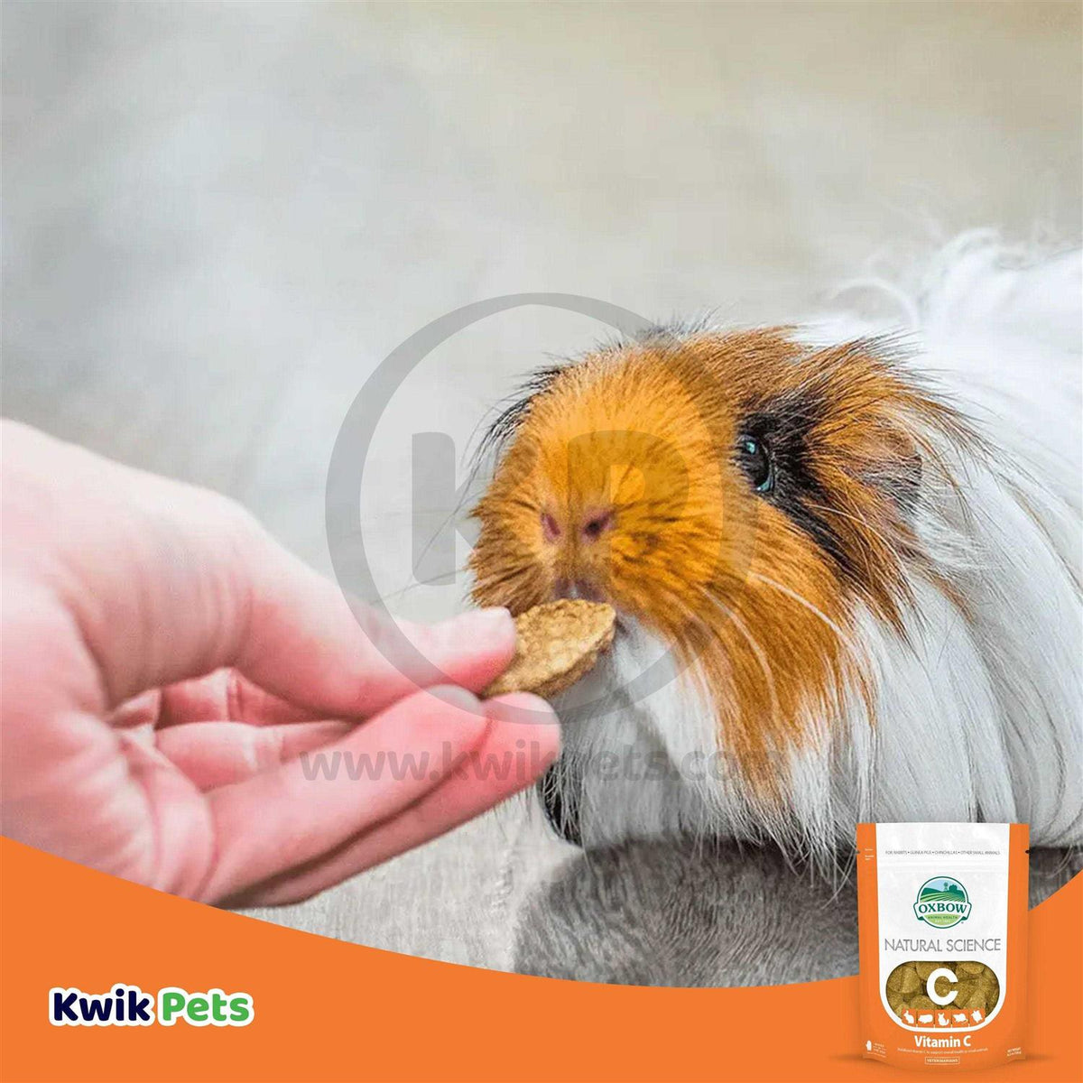 Vitamin C Supplement F81692