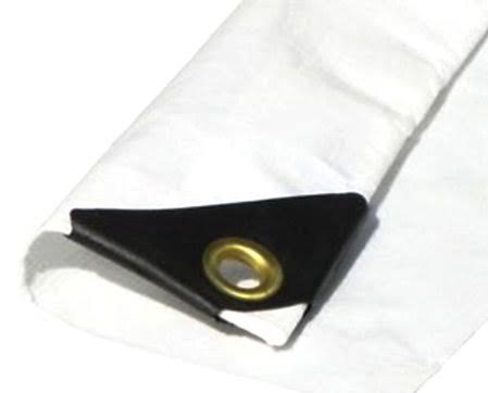 Extra Heavy Duty 12 Mil White Tarp 3 Ply Coated Reinforced Canopy 6 oz 3 Layer, Size: 14 x 14 D5713