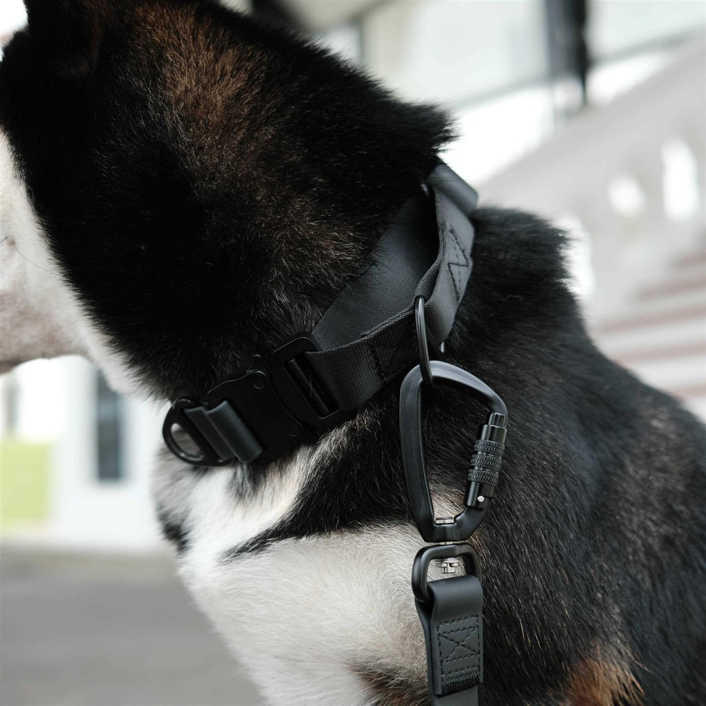 Waterproof Martingale Collar H3093