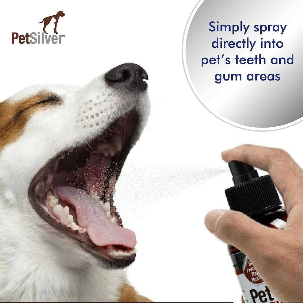 Pet Teeth & Gum Spray for Dogs & Cats M77405