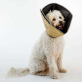 Comfy Cone Collar L1837