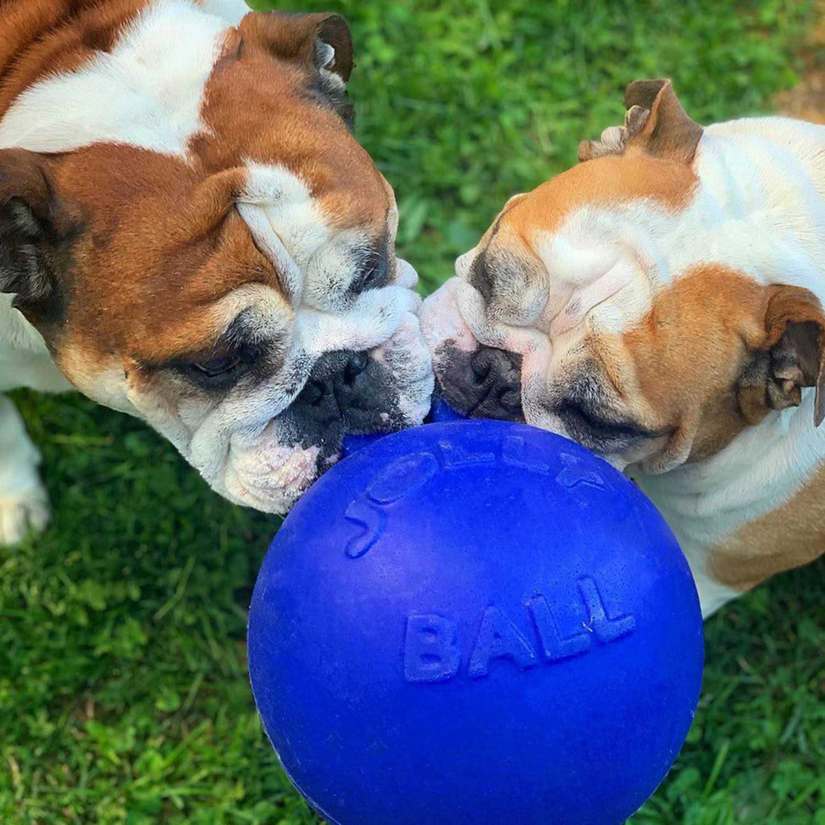 Jolly Ball X87798