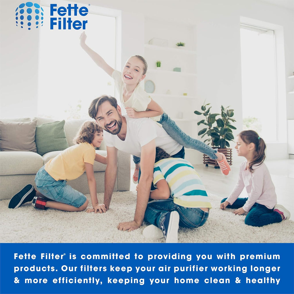 HEPA Filter Compatible with AeraMax 290 AeraMax 300 DX95 Air Purifiers H938