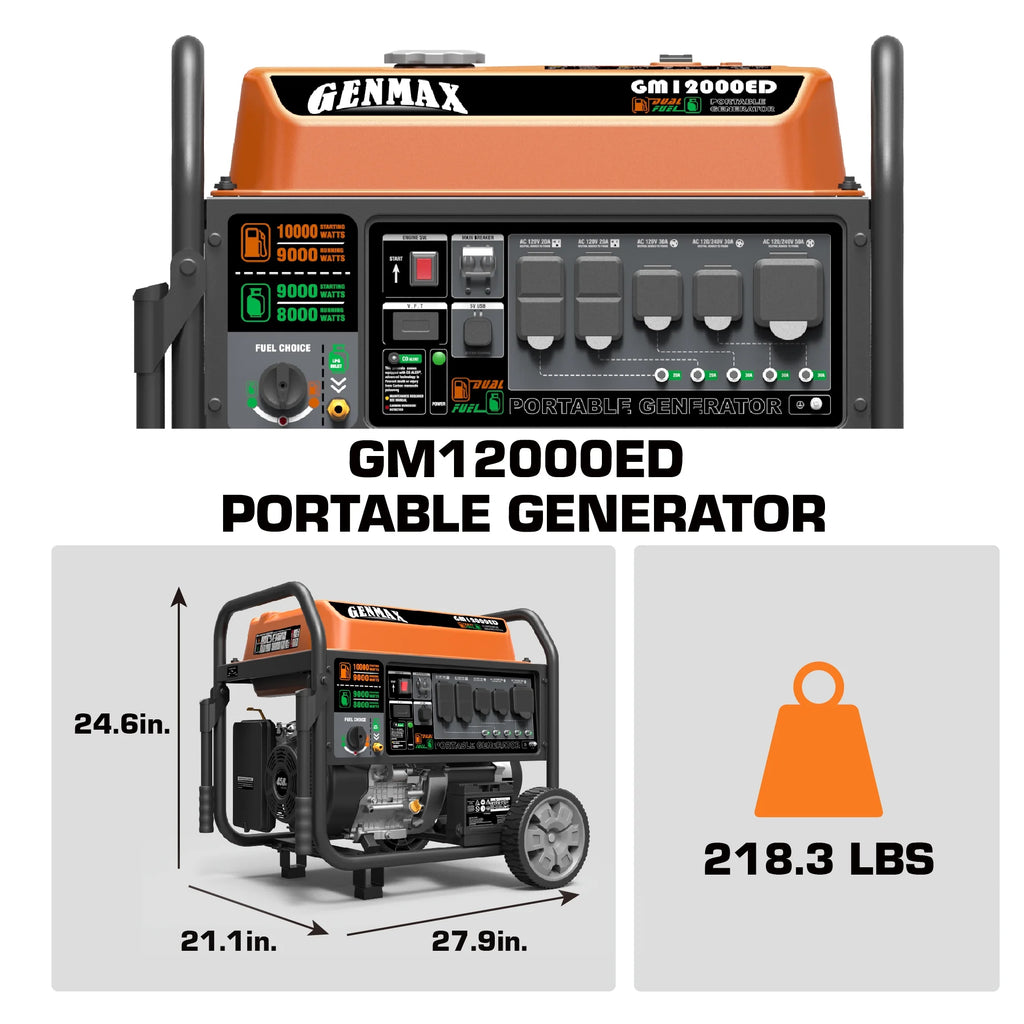 Dual Fuel Portable Generator 12000 Watt Electric Start F8331