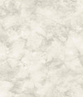 White Pressed Petioles Wallpaper Y495