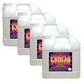 Degreaser Concentrate 2.5 Gallons 4 Pack E10203