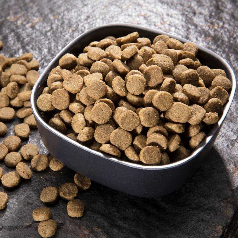 Grain Free Dry Cat Food H676