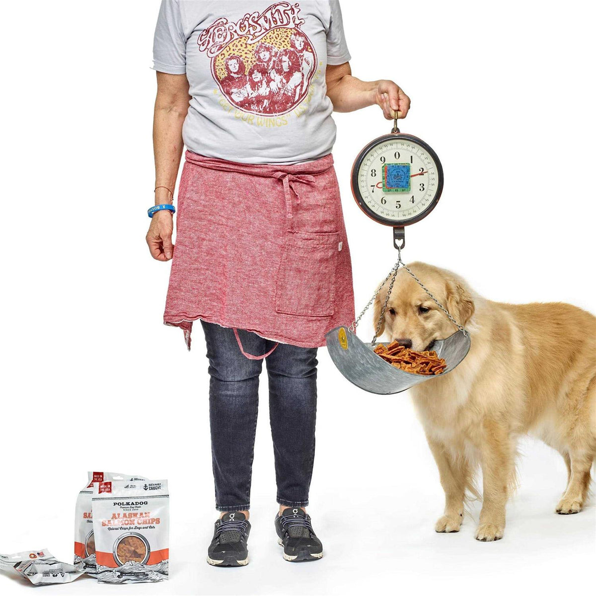 Alaskan Salmon Chips Dog Treats G873