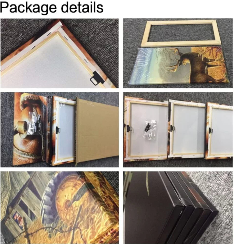 Framed Canvas Wall Art Set G497