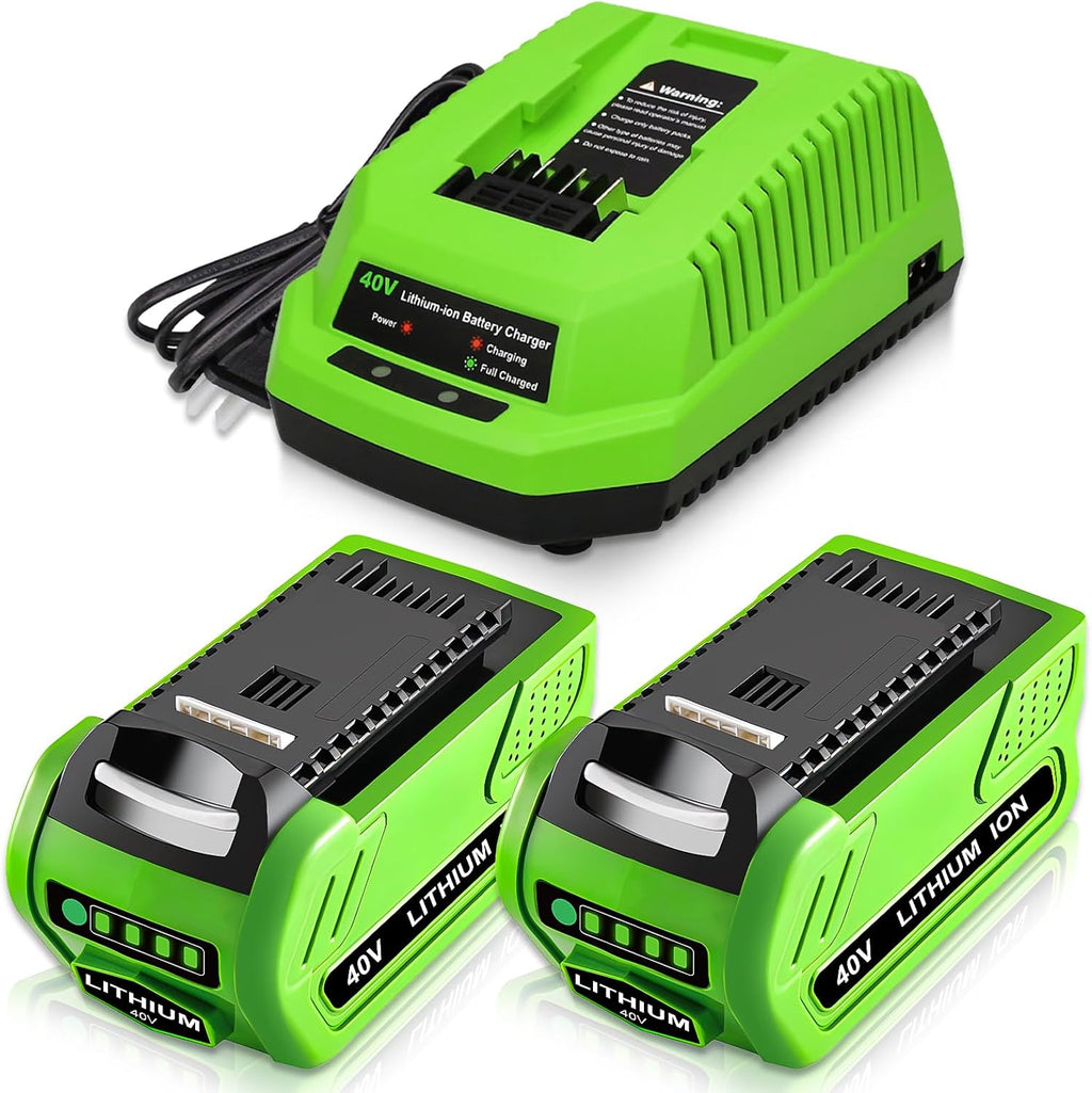 2-Pack 40 Volt 6.0Ah Lithium ion Battery and Charger B555
