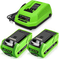 2-Pack 40 Volt 6.0Ah Lithium ion Battery and Charger B555