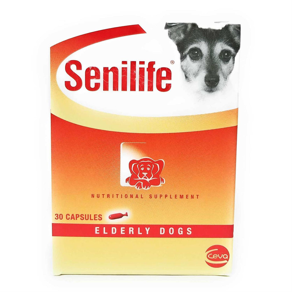 Nutritional Supplement for Elderly Dogs B91407