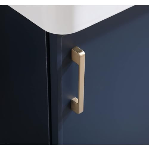 Blue 1 Door 1 Drawer Bathroom Vanity with Sink V41332