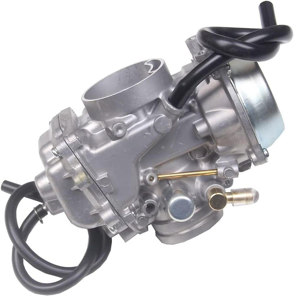 Carburetor Z555295