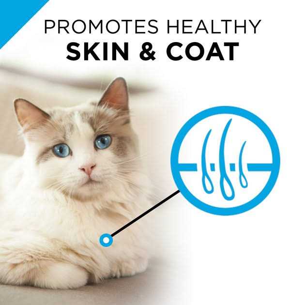 Sensitive Skin & Stomach Cat Food C71612