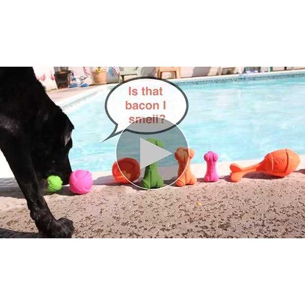 Squeaky Latex Dog Toy P7955