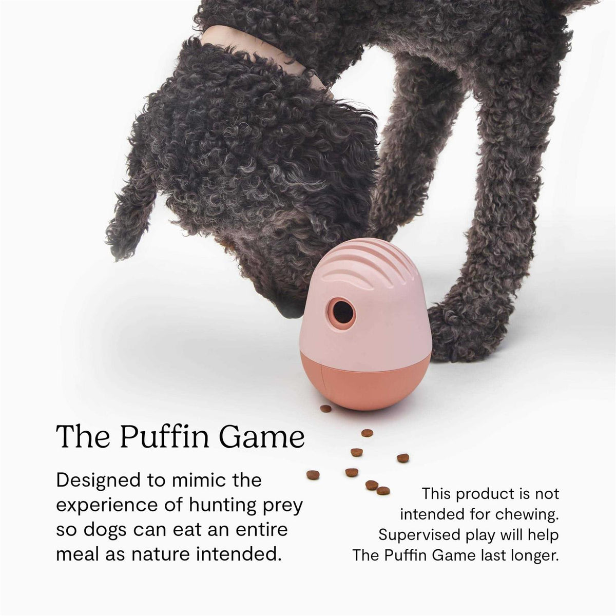 Dog Toy E29664