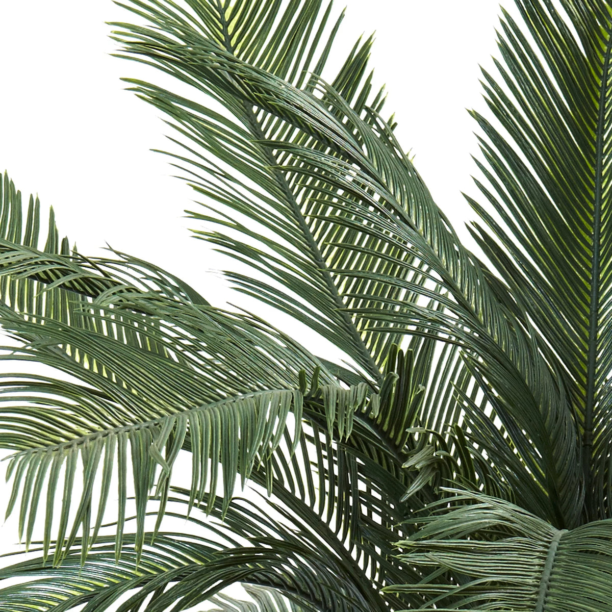 4ft. UV Resistant Cycas Artificial Tree T289845