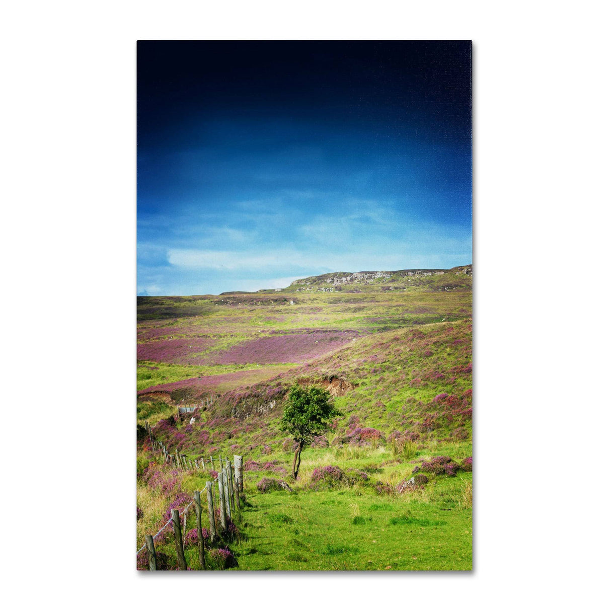 Canvas Art M157097