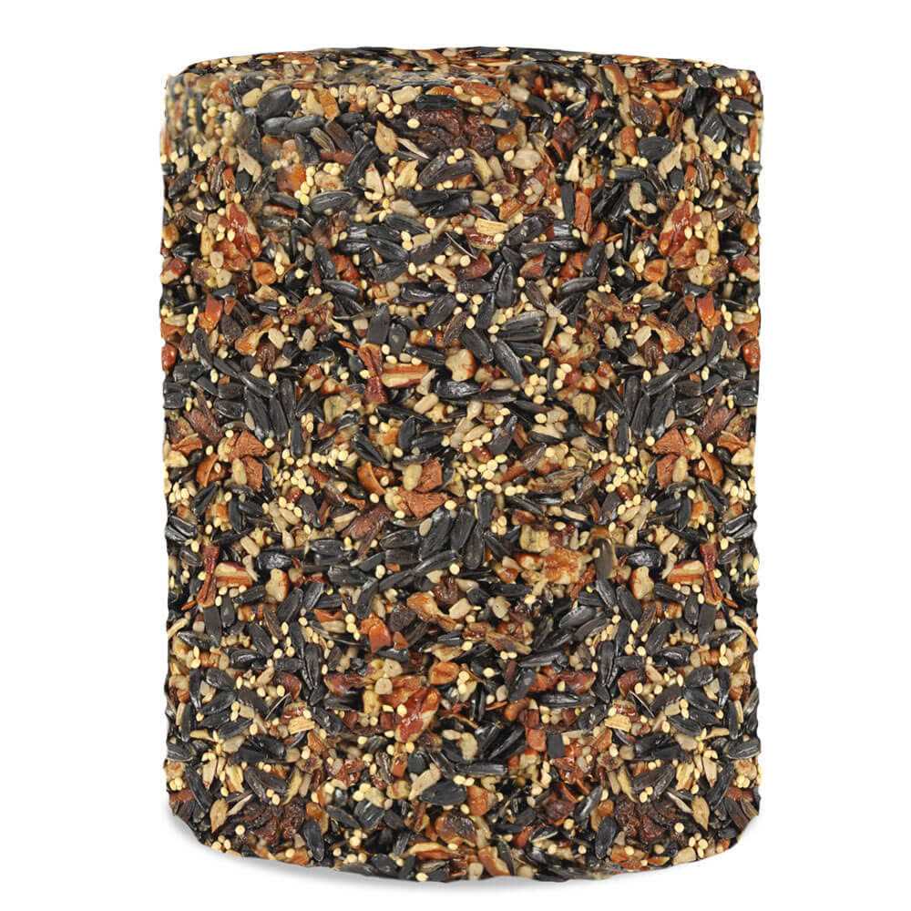 Woodpecker Feast Cylinder D624