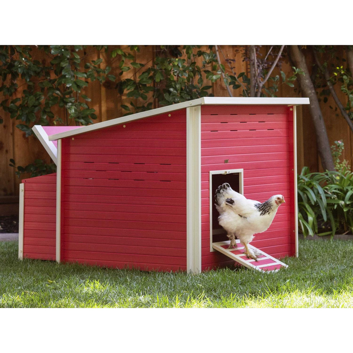 Jumbo Chicken Barn C9142
