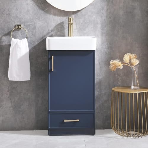 Blue 1 Door 1 Drawer Bathroom Vanity with Sink V41332