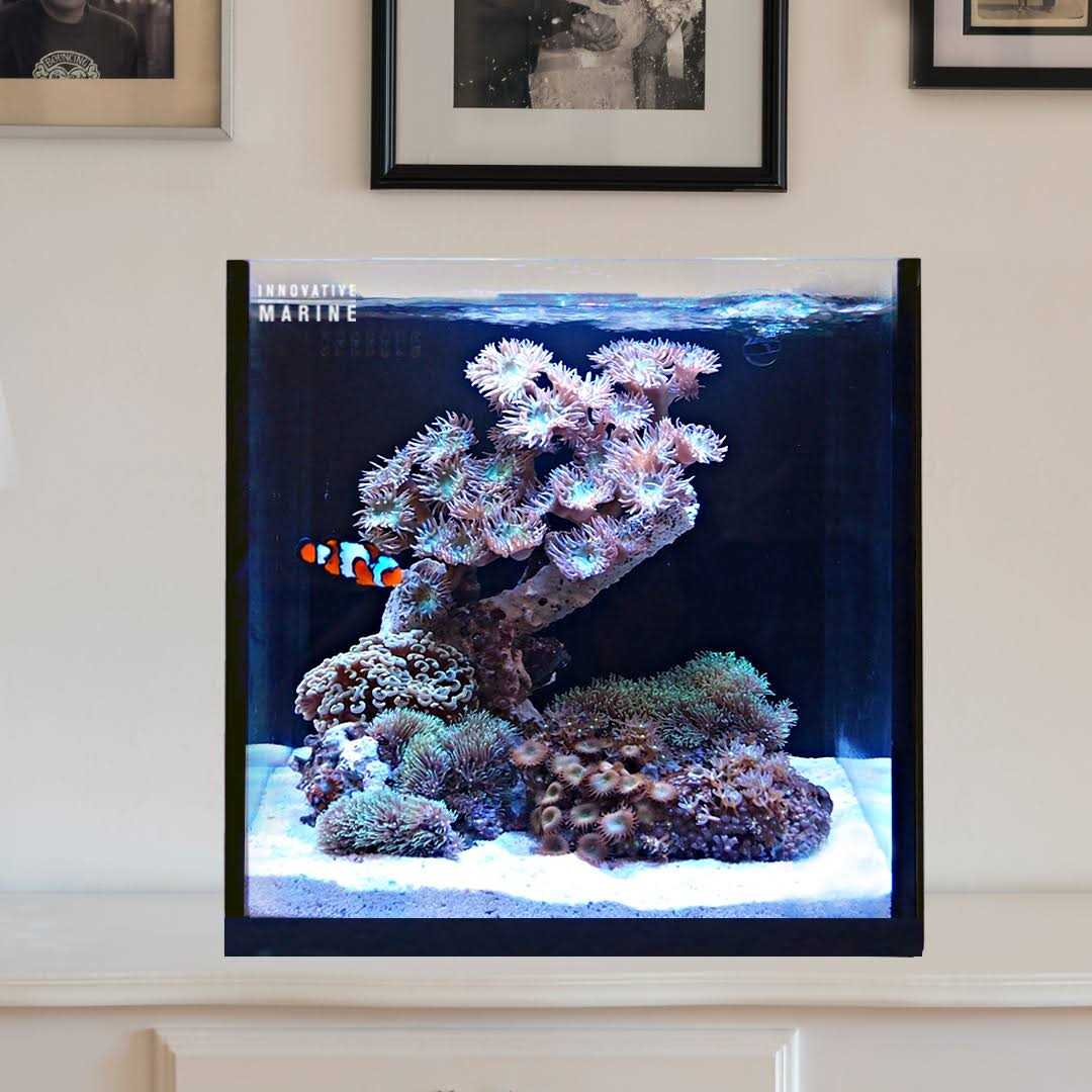 15 AIO Cube Aquarium W715281