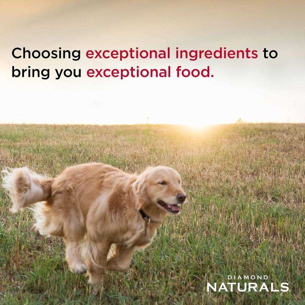 Dry Dog Food N6957