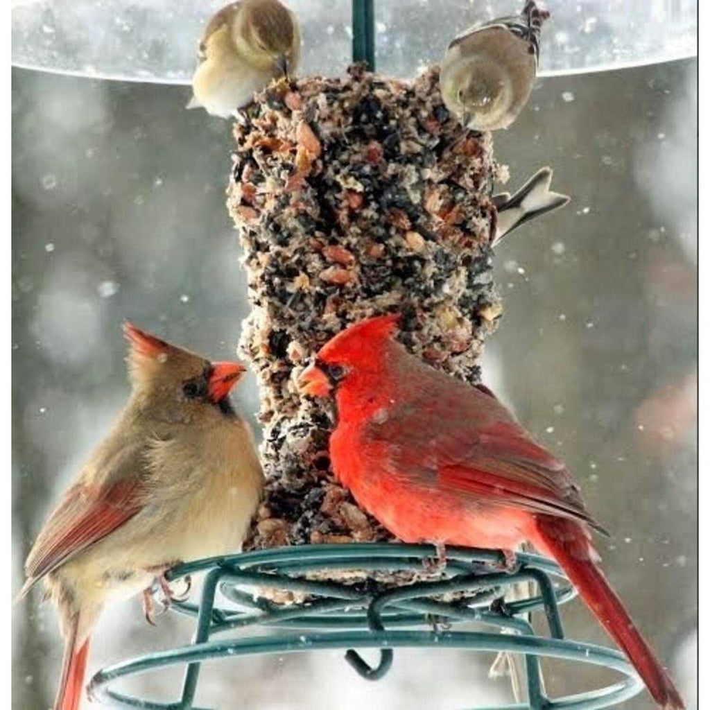 Woodpecker Feast Cylinder D624