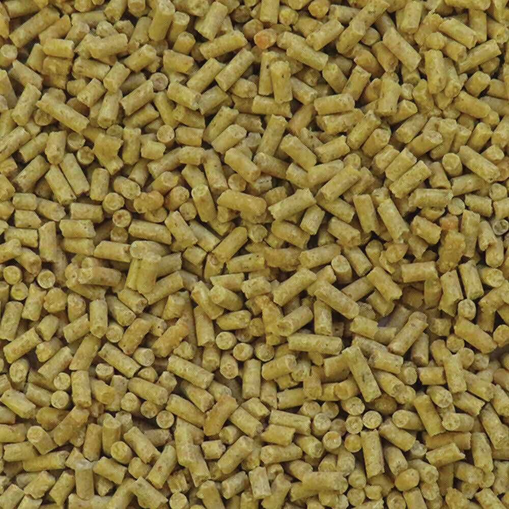 Tropical Fruit Bird Food H3583