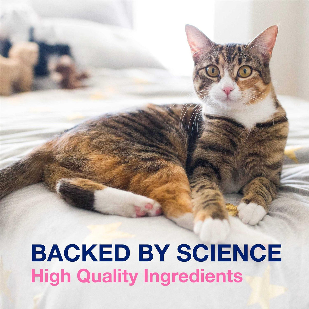 Multi-Strain Probiotics and Prebiotics for Cats and Dogs M8975