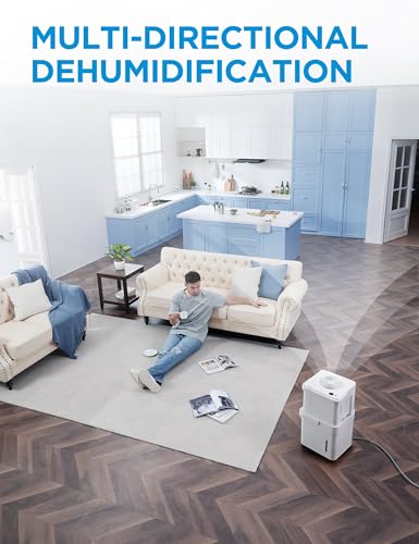 Cube Dehumidifier with Drain Hose P918