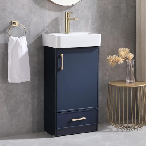 Blue 1 Door 1 Drawer Bathroom Vanity with Sink V41332