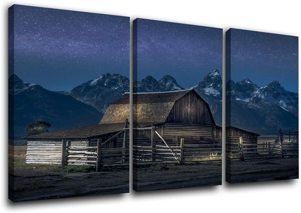 Framed Canvas Landscape Artwork Pack of 2 F561