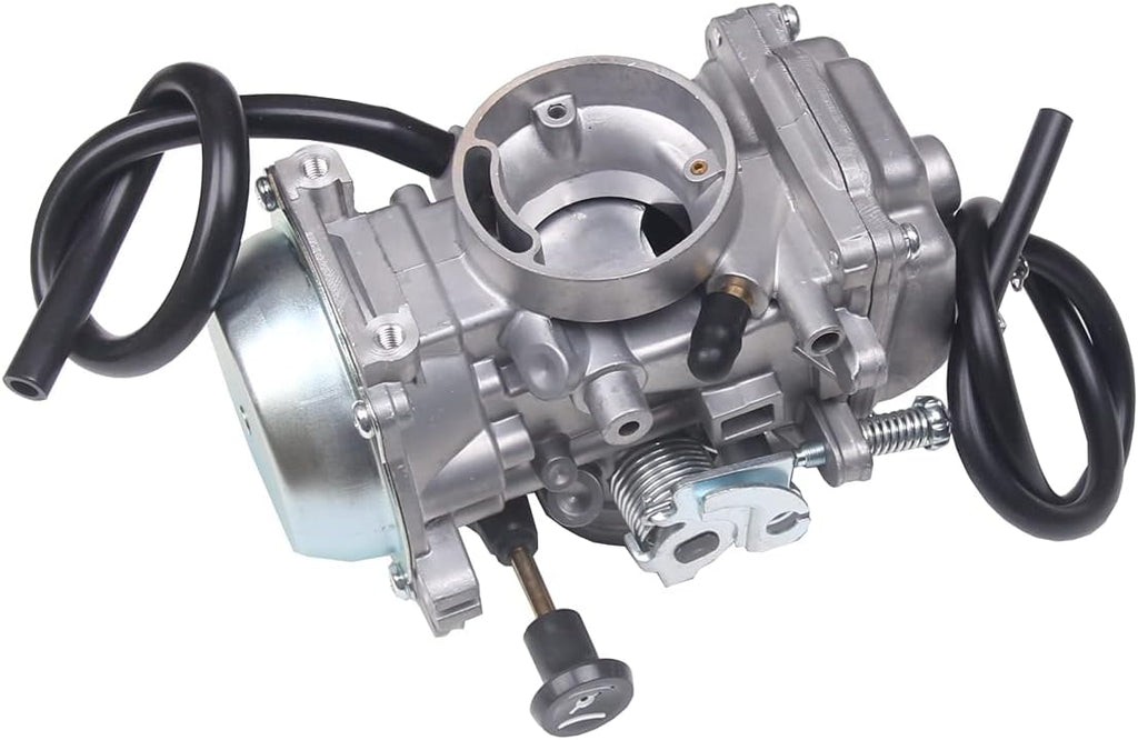 Carburetor Z555295