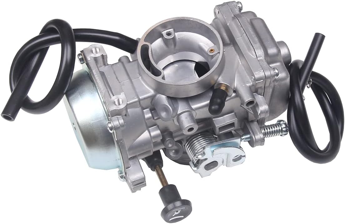 Carburetor Z555295