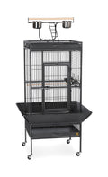 Black Wrought Iron Parrot Bird Cage T34910