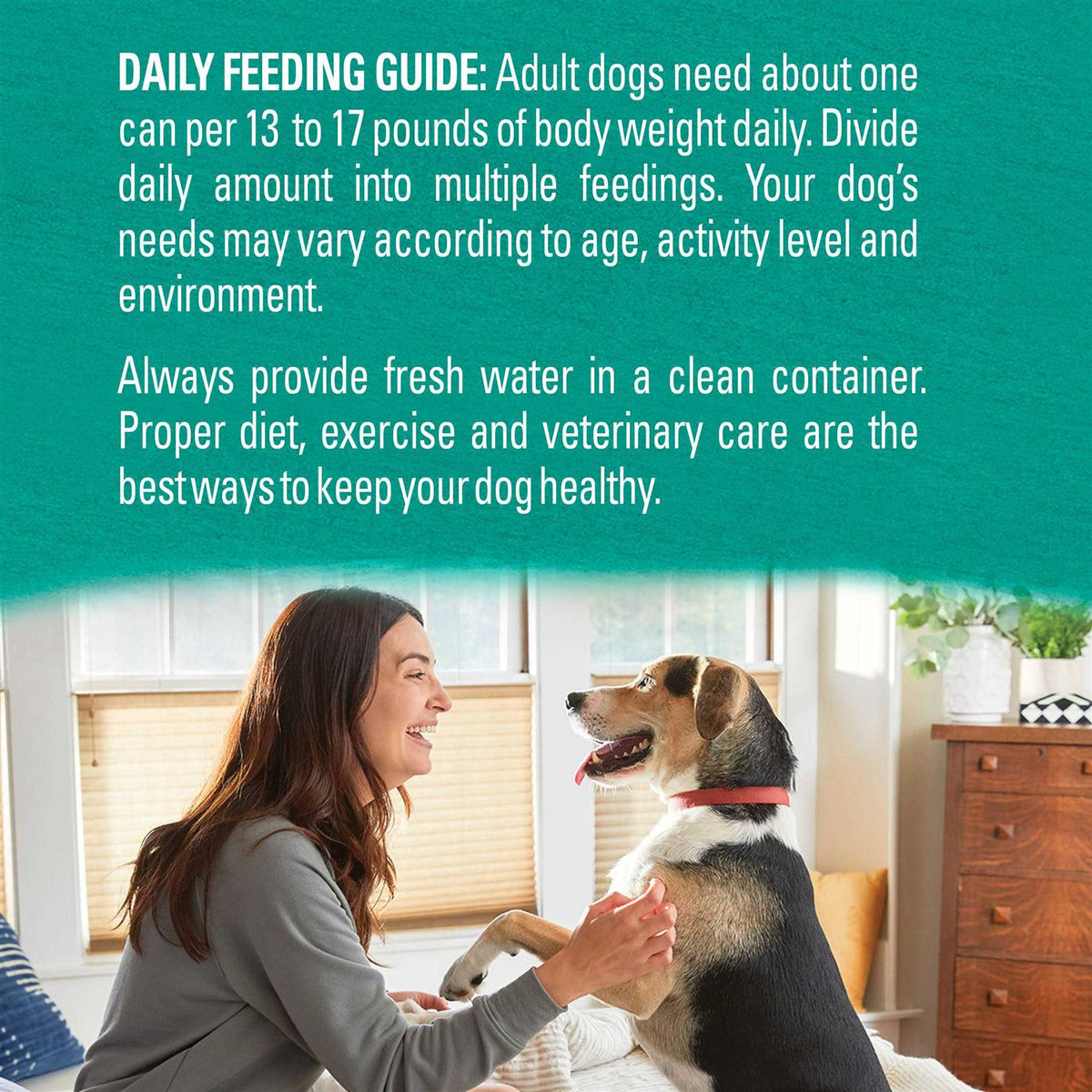 Alaskan Cod Salmon & Sweet Potato Wet Dog Food Can D4053