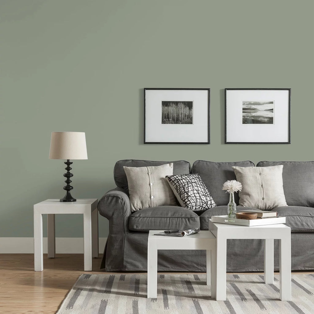 Interior Paint and Primer, Green, Gallon, Eggshell S182998