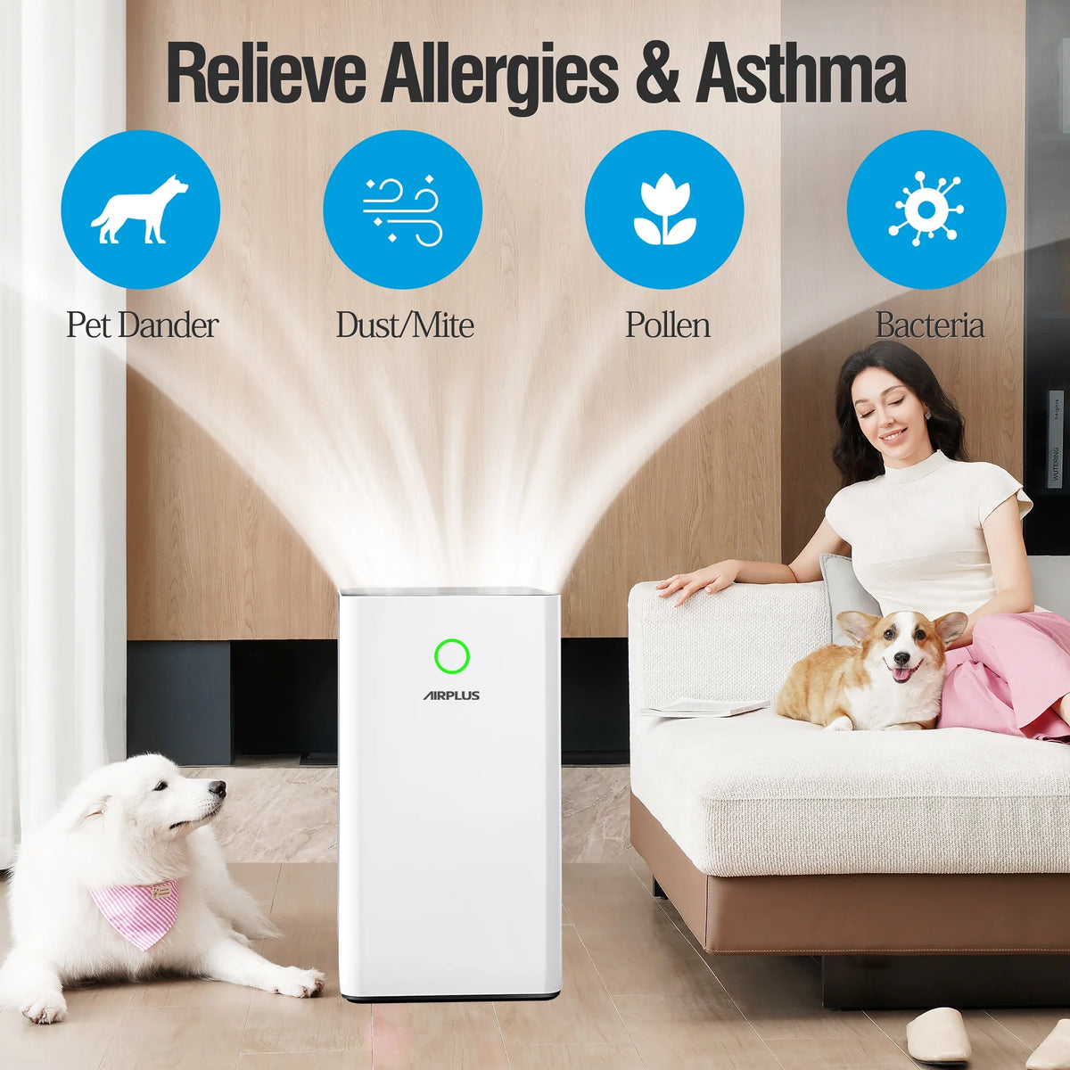 White H13 True HEPA Air Purifier P580