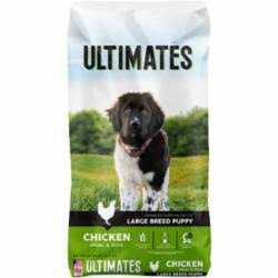 Chicken Meal & Rice Dry Dog Food X77788